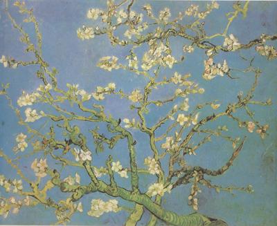 Vincent Van Gogh Blossoming Almond Tree (nn04)